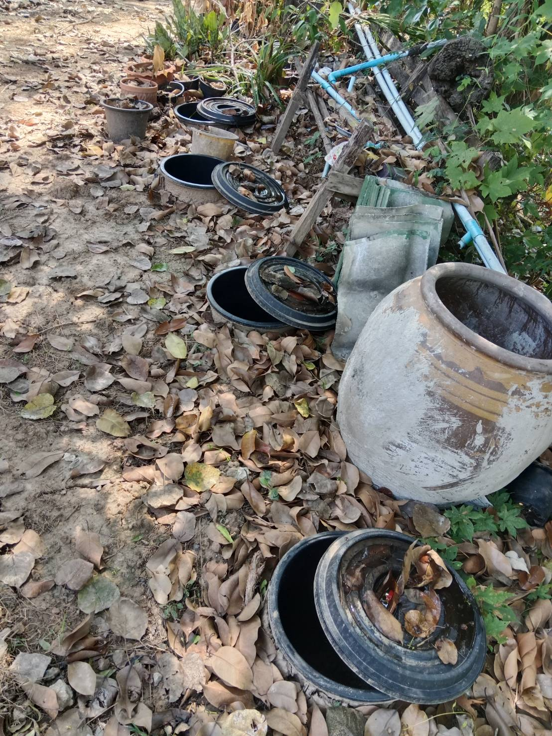 เจ้าหน้าที่ลงพื้นที่ติดตามการขับเคลื่อนแผนปฏิบัติการเชิงกลยุทธ์แนวใหม่ (Re-X-Ray) โครงการถังขยะเปียก ลดโลกร้อน