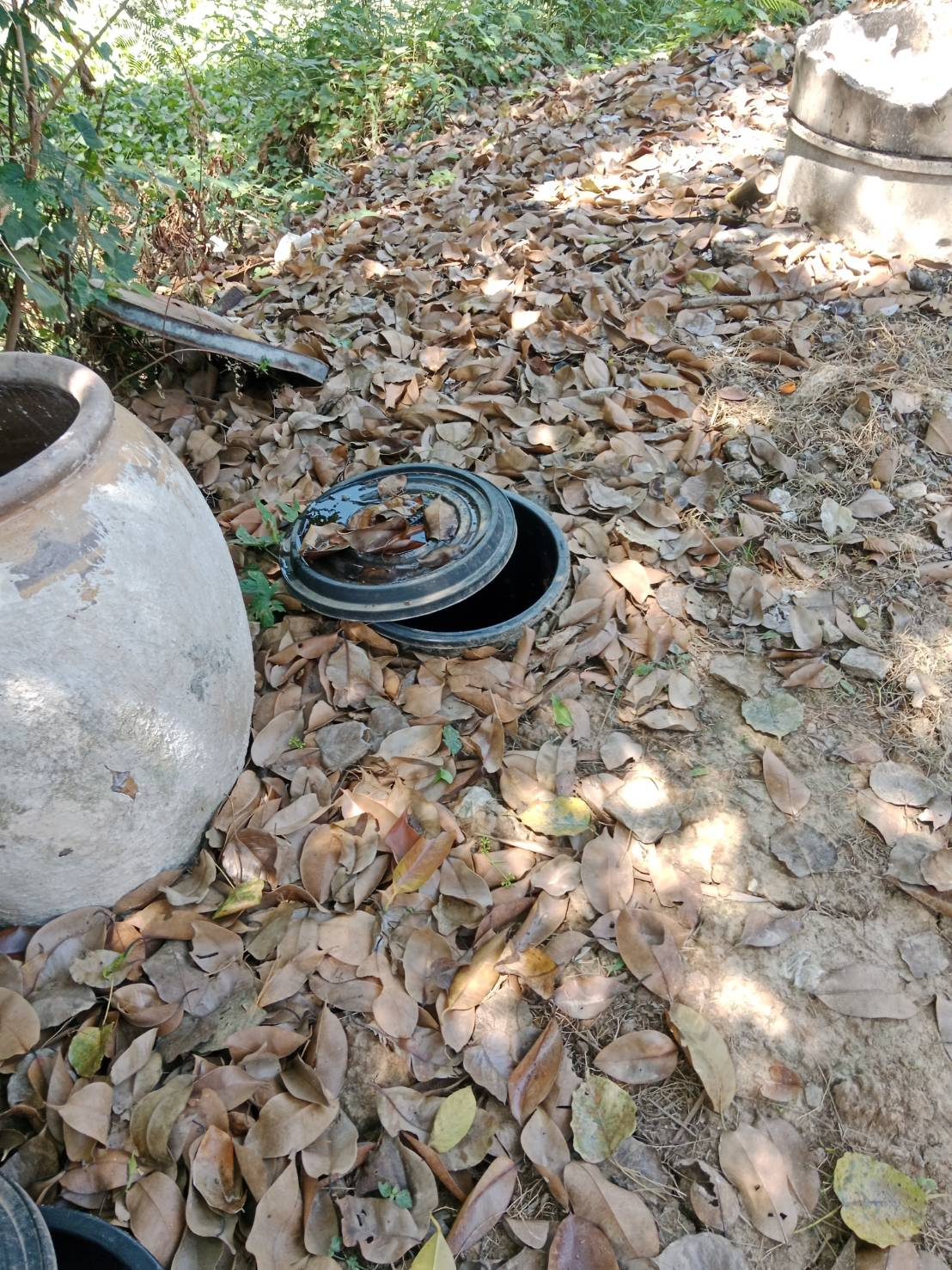 เจ้าหน้าที่ลงพื้นที่ติดตามการขับเคลื่อนแผนปฏิบัติการเชิงกลยุทธ์แนวใหม่ (Re-X-Ray) โครงการถังขยะเปียก ลดโลกร้อน